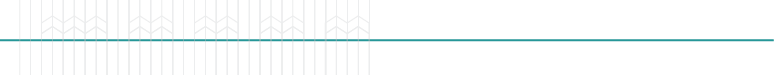 Divider 3